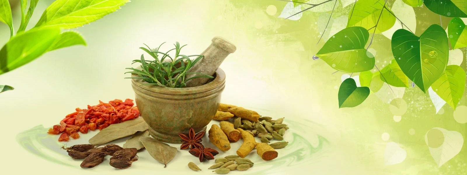 Grameen Ayurveda